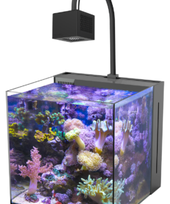 Komplettes Meerwasseraquarium Set
