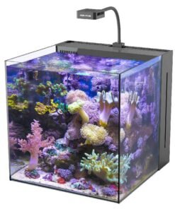 Meerwasseraquarium Starter Komplettset