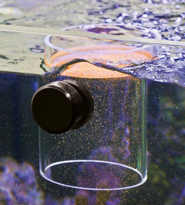 Kompakter Futterautomat für Süß- und Meerwasser